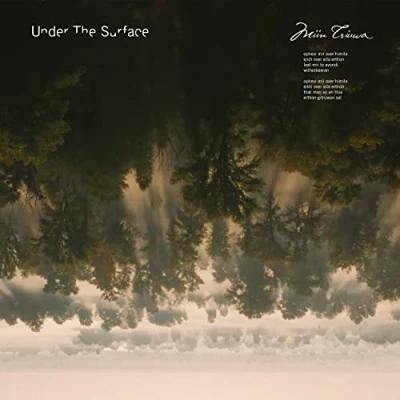 Afbeelding van Under the Surface Miin Triuwa (LP)