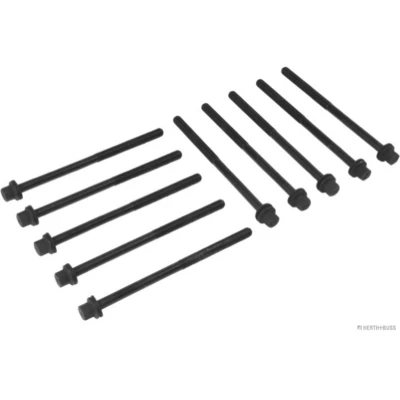 Afbeelding van Herth+Buss Jakoparts Cilinderkopboutenset J1284014