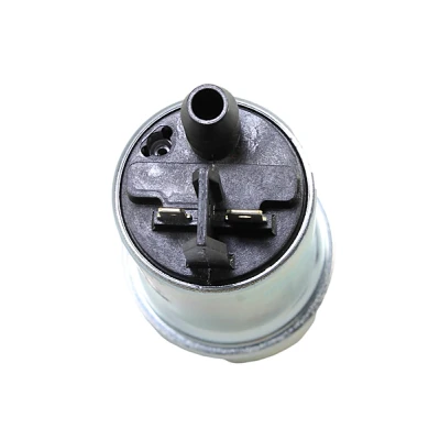 Afbeelding van METZGER 2250481 Brandstofpomp Electrisch Met filter BMW: X5
