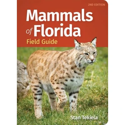 Afbeelding van Mammals of Florida Field Guide