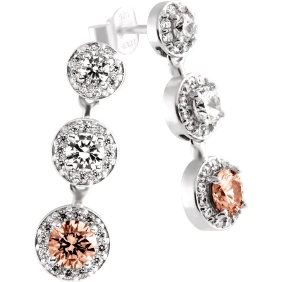 Afbeelding van Diamonfire Zilveren oorhangers Fancy Colors Zirkonia Bruin Entourage
