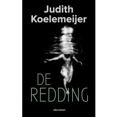 Afbeelding van De redding