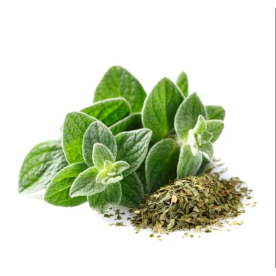 Afbeelding van Volatile Oregano C02 SE bio (2 ml)