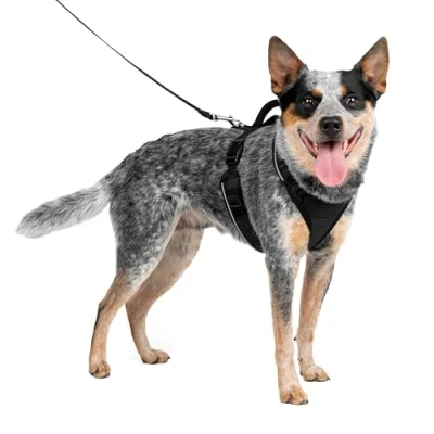 Afbeelding van PetSafe EasySport Harness, Wandelharnas voor honden, verstelbaar, gewatteerd, Medium zwart