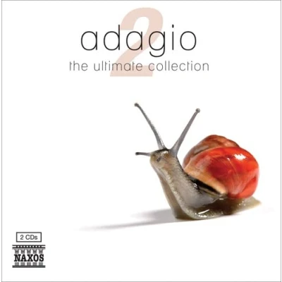 Afbeelding van Various Artists Adagio 2 (2 CD)