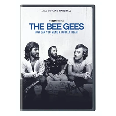 Afbeelding van Bee Gees: How Can You Mend a Broken Heart?