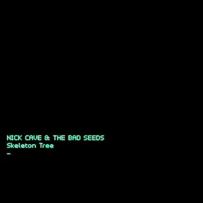 Afbeelding van Nick &amp; the Bad Seeds Cave Skeleton Tree (LP)