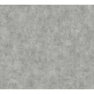 Afbeelding van AS Creation Terra 38922 3 / 389223 Grijs