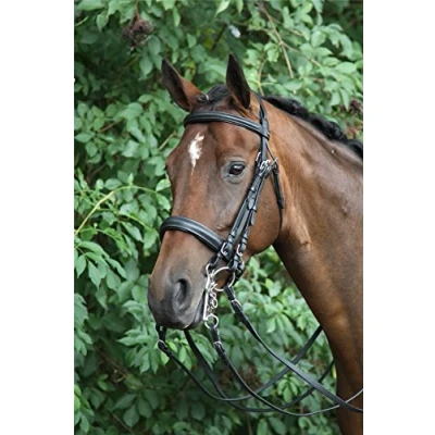 Afbeelding van HORKA HOOFDSTEL WEYMOUTH STANG EN TRENS FULL ZWART/ZILVER