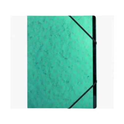 Afbeelding van Exacompta Ref. 56350E 1 HARMONIKA NeoDeco map met elastiekjes 400g/m2 kaartomslag en gerecycled karton aan de binnenkant 7 vakken afmetingen 24 x 32 cm voor A4 willekeurige kleuren