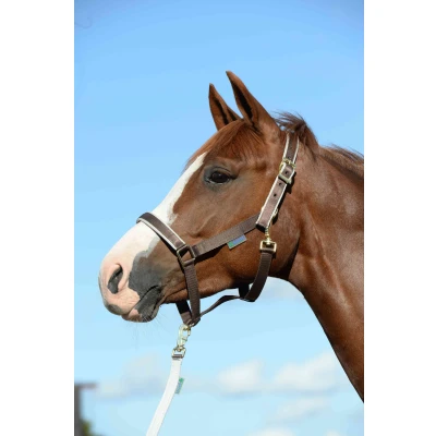 Afbeelding van Bucas Halter Dublin Pony Zebra