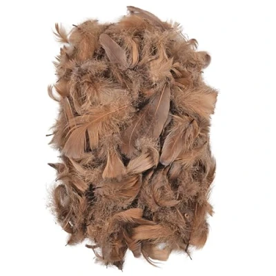 Afbeelding van Netuno 150 stuks lichtbruine decoratieve veren, 10 g, pluisveren, sierveren, vogelveren, knutselveren, natuur, voor doe het zelf knutselen, decoratie, Pasen, Kerstmis, decoratiefiguur