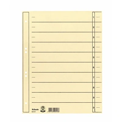 Afbeelding van Esselte Leitz scheidingsblad, A4, karton, chamois