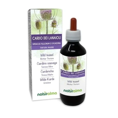 Afbeelding van Grote kaardebol of Wilde (Dipsacus fullonum Dipsacus sylvestris) wortels Alcoholvrije moedertinctuur Naturalma Vloeibaar extract druppels 200 ml Voedingssupplement Veganistisch
