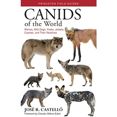 Afbeelding van Canids of the World: Wolves, Wild Dogs, Foxes, Jackals, Coyotes, and Their Relatives: 116