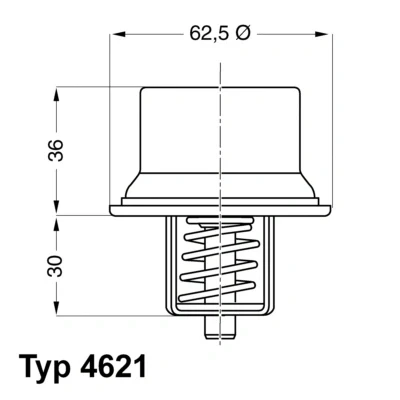 Afbeelding van Wahler Thermostaat 4621.80D