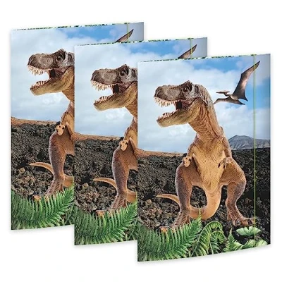 Afbeelding van RNK 45356 3 Tekenmap T REX 310 x 440 mm, stuks, DIN A3, met elastieksluiting