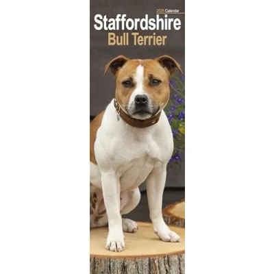 Afbeelding van Staffordshire Bullterrier Staffies 2025: Original Avonside Kalender Slimline [Mehrsprachig] [Kalender]