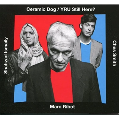 Afbeelding van Yru Still Here? (CD)