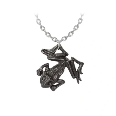 Afbeelding van Alchemy Black Paddock Ketting Zwart