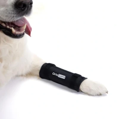 Afbeelding van Ortocanis Carpale ondersteuning voor honden met artrose, ligamentletsel of instabiele carpus, maat M
