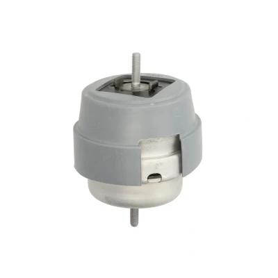 Afbeelding van Reinhoch Motorsteun RH11 0063