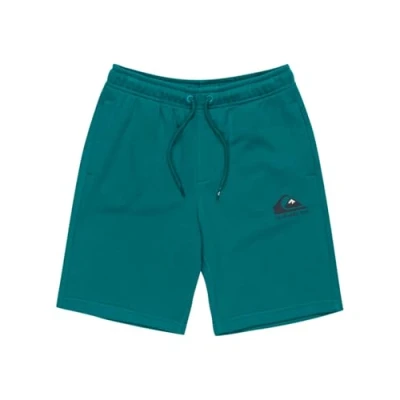 Afbeelding van Quiksilver EASY DAY Jogger Youth Trainingsbroek voor kinderen, Maat: 152, Teal green