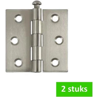 Afbeelding van i FIX scharnier met losse pen 63 x mm verzinkt 2 STUKS