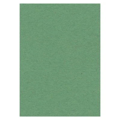 Afbeelding van Cardstock 270 grs 50 x 70 cm Green 25 stuks
