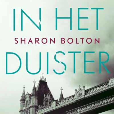 Afbeelding van In het duister