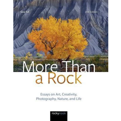 Afbeelding van More Than a Rock: Essays on Art, Creativity, Photography, Nature, and Life