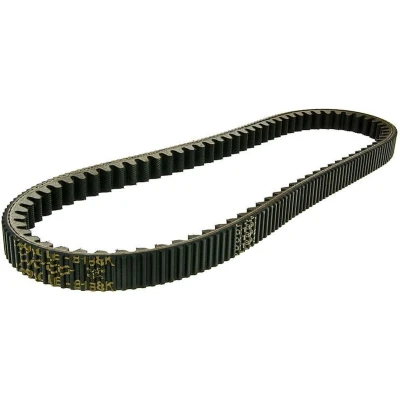 Afbeelding van Aandrijfriem DAYCO 8188K