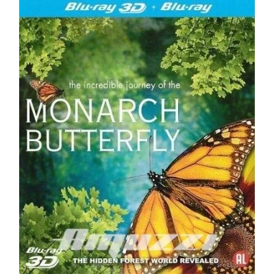 Afbeelding van Monarch Butterfly (Blu ray) (3D &amp; 2D Blu