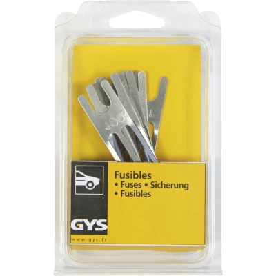 Afbeelding van Gys Zekeringen, 100A, 10st 5193054486