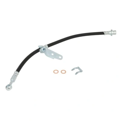 Afbeelding van Delphi Diesel Remslang LH6686