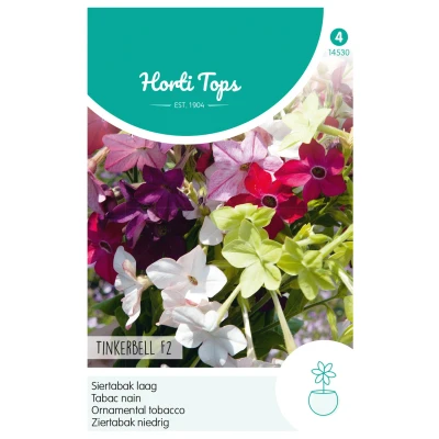 Afbeelding van Nicotiana, Siertabak Tinkerbell F2 laag