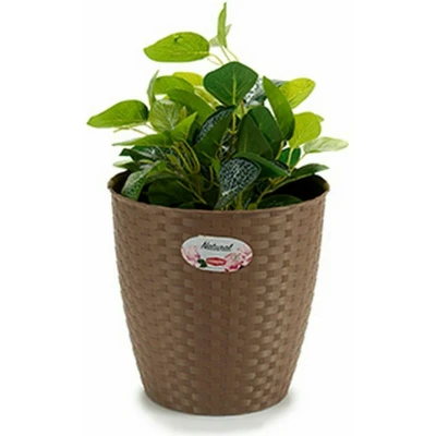 Afbeelding van Grondlegger Stefanplast Bruin Plastic 24 x 22,5 cm (6 Stuks)