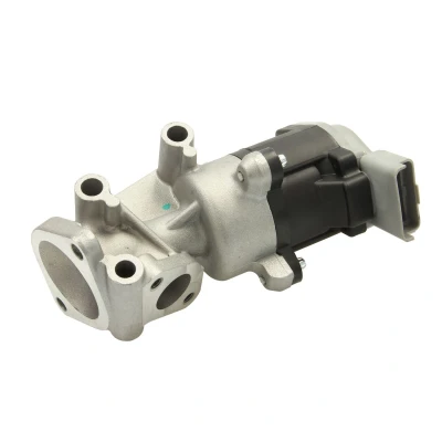 Afbeelding van Engitech EGR klep ENT500060