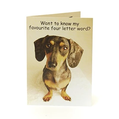 Afbeelding van UK Greetings grappige verjaardagskaart voor hem hond haar vriend ideale cadeaubon humoristische kaart volwassenen 788327 0 1