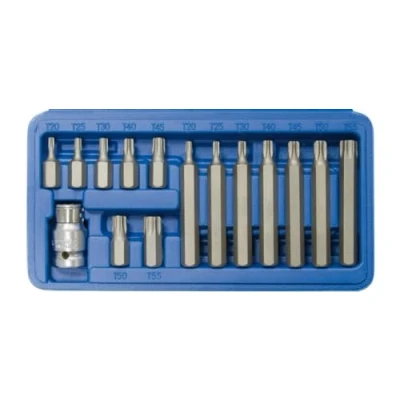 Afbeelding van SW staal Torx set 15 stuks 1/2 inch, T 20 55, 04420L