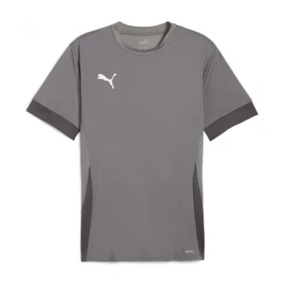 Afbeelding van Puma teamgoal matchday jersey in de kleur grijs.
