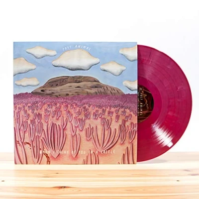 Afbeelding van Post Animal When I Think of You In a Castle (LP)