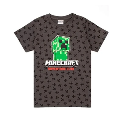 Afbeelding van Minecraft T shirt Jongens Kids Creeper Korte Mouw Gray Top Merchandise 11 12 jaar