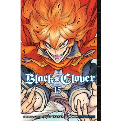 Afbeelding van BLACK CLOVER 15: Volume 15