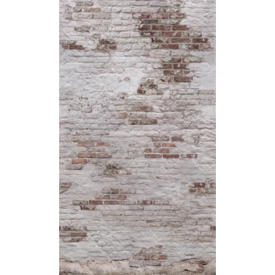 Afbeelding van Dutch Wallcoverings Exposure One Roll Motif EP6101 (Met Gratis Lijm!)