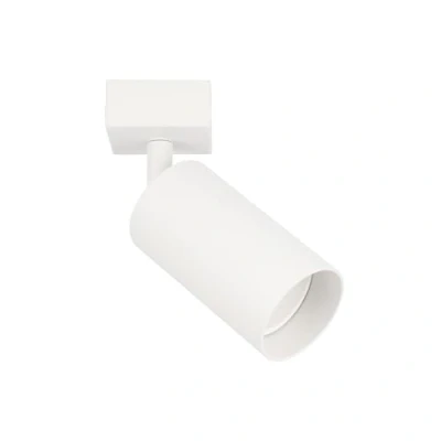 Afbeelding van EDO, Plafondspot MALGA 1 punts wit, draaibaar, ronde keukenlamp, plafondlamp GU10, ceiling light, lamp, lampen woonkamer, lampen, voor slaapkamer, spotlight, EDO777399