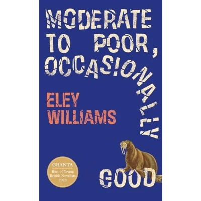 Afbeelding van Moderate to Poor, Occasionally Good