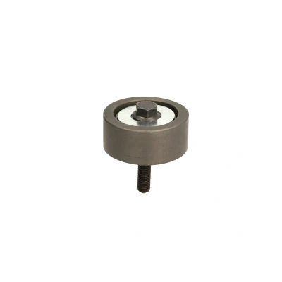 Afbeelding van Dayco Geleiderol (poly) V riem APV2818