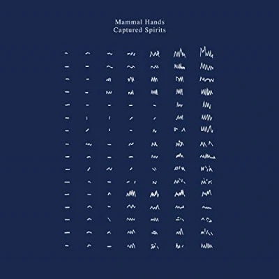 Afbeelding van Mammal Hands Captured Spirits (2 LPs)