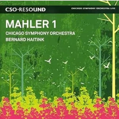 Afbeelding van Chicago Symphony Orchestra Symphonie No 1 (CD)